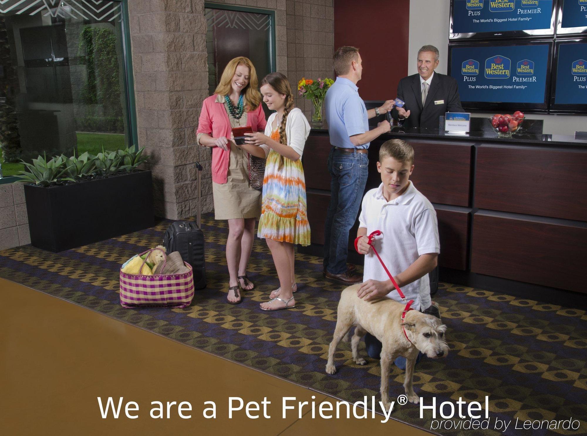 Best Western Plus Calgary Centre Inn Dış mekan fotoğraf
